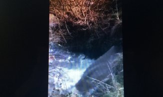 Someșul poluat la înțelegere politică? Fost deputat de Cluj: 'un canal negru de mizerie, mirosind îngrozitor, care se varsă în râu'