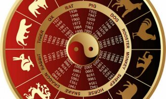Horoscop CHINEZESC 2022. Ce aduce anul tigrului de apă fiecărui semn zodiacal