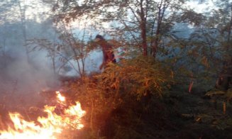 Amenzi mai mari pentru incendiile de vegetație: până la 15.000 lei pers fizice și 100.000 lei pers juridice