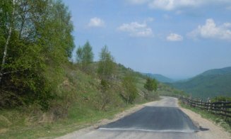 Reîmpădurire la Mărișel, cu party și Dj