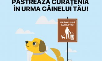Păstrează curățenia în urma câinelui tău! Amenzi de pana la 600 lei