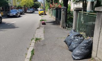 De ce nu se ridică resturile vegetale din Cluj-Napoca