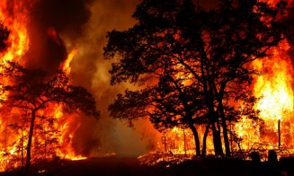 Revin incendiile de vegetaţie în Grecia. Un oraş de lângă Atena, evacuat