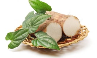 Fructul pământului, planta medicament cu proprietăți magnifice pentru sănătate