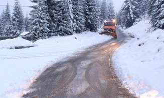 Acțiuni de deszăpezire și de combatere a poleiului în zona de munte a județului