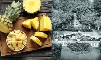 Ananasul era cultivat în Transilvania, în urmă cu 200 de ani