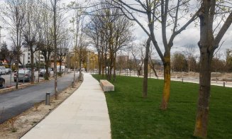 957 noi arbori în proiectul de revitalizare a malurilor Someșului / Progres lucrări: 72%