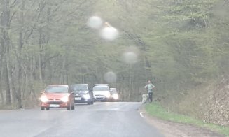 "În a doua zi de Paști, un clujean făcea ecologizare în Borhanci singur, de capul lui"