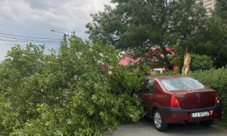 Furtună la Cluj. Copac căzut peste o mașină în Grigorescu/ Parada Zilelor Clujului, reprogramată