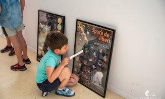 Medierea culturală în practică: Centrul Cultural Clujean lansează un nou sezon al atelierelor Mediere Culturală+, online