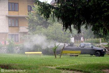Căpuşele invadează din nou Clujul
