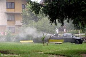Căpuşele invadează din nou Clujul