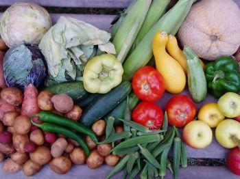 Fermierii clujeni livrează produse naturale la uşă