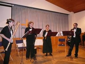 CULTURĂ. Cursuri de luterie şi concerte de muzică barocă pe bani europeni
