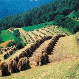 CULTURĂ. Expoziţie despre Polonia, deschisă la Biblioteca Goga