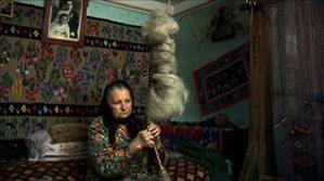 CULTURĂ. Premiant la TIFF, 