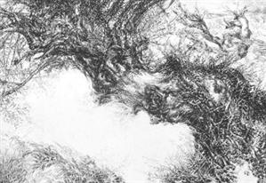 CULTURĂ. Expoziţie de grafică la Muzeul de Artă