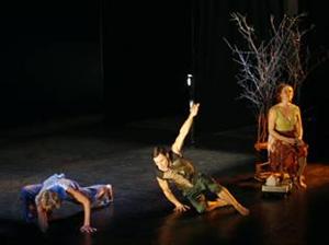 24 de companii de teatru vor juca pe scena Man.In.Fest