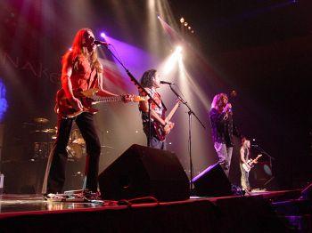 Concertele rock din România în 2008
