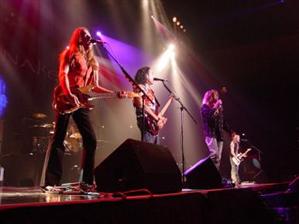 Concertele rock din România în 2008