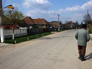 Licitaţia pentru reabilitarea drumurilor judeţene ar putea demara în octombrie  