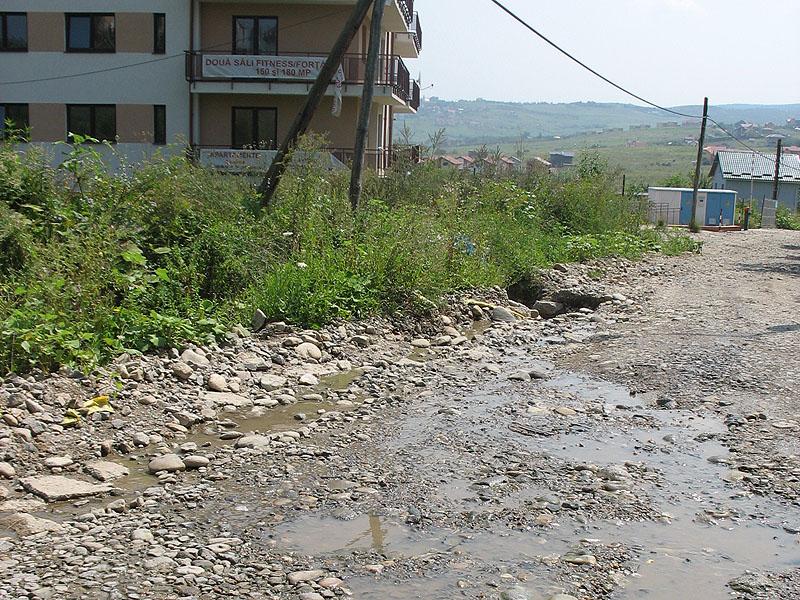 Asfalt colorat politic în Borhanci