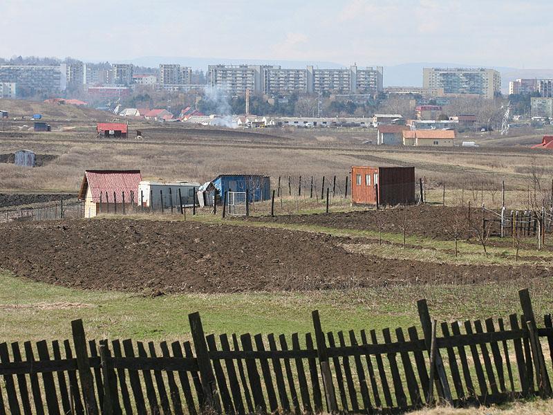Primul proiect economic al primăriei: parc logistic de 10 milioane de euro   