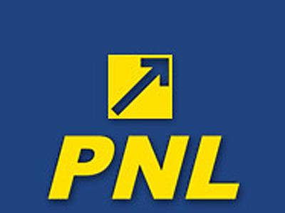 Liberalii şi-au votat programul de guvernare. Vezi cum au votat clujenii. (update)
