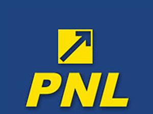 Liberalii şi-au votat programul de guvernare. Vezi cum au votat clujenii. (update)
