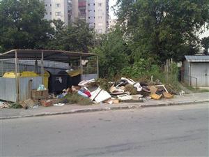 ASA Servicii Ecologice a pierdut procesul cu Primăria