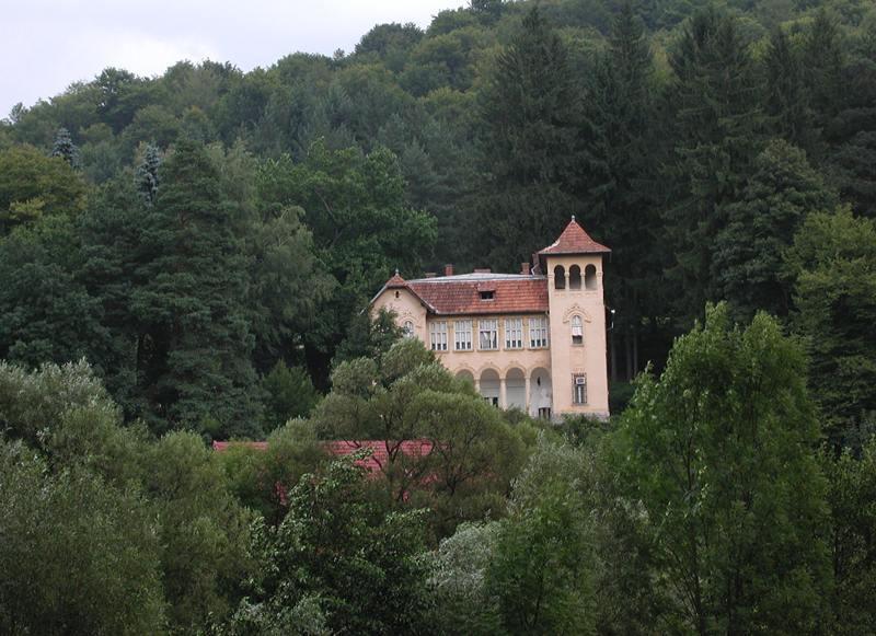 Concurs de poezie şi eseu la Muzeul Goga din Ciucea