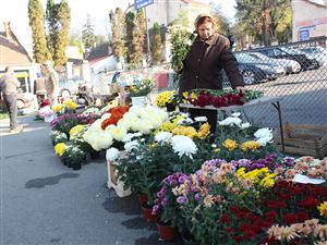 Criza le aduce emoţii florarilor de Ziua Morţilor