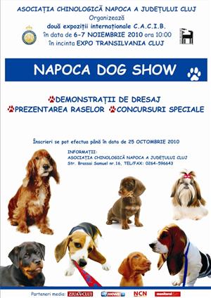 1.200 de căţei concurează Napoca Dog Show, în weekend