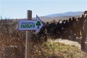 10.000 de puieţi plantaţi într-o singură zi în Ciurila FOTO