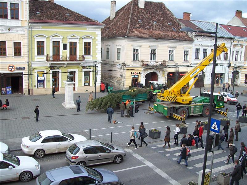Se montează bradul de pe pietonala Eroilor FOTO