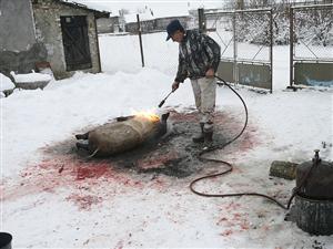 Clujeni, atenţie la trichineloză!  