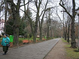 Oferte de 4 şi 5 milioane de euro, pentru reabilitarea parcului central al Clujului