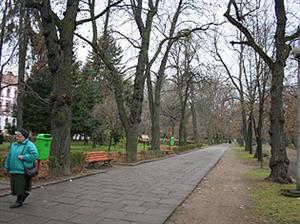 Oferte de 4 şi 5 milioane de euro, pentru reabilitarea parcului central al Clujului