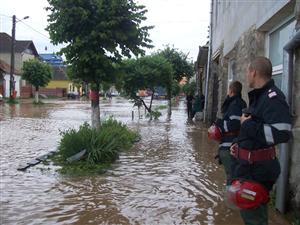 În 2010, pompierii clujeni s-au bătut cu natura