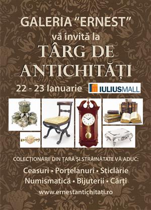 Antichităţi la Iulius mall