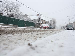 Rosal şi Brantner, repetente la deszăpezire