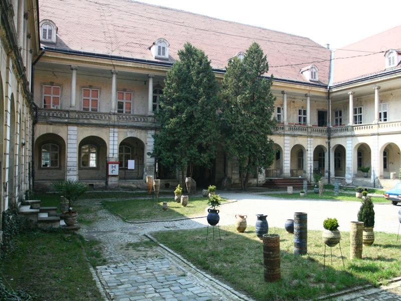 Comitetul Naţional al Consiliului Muzeelor susţine necomasarea muzeelor clujene