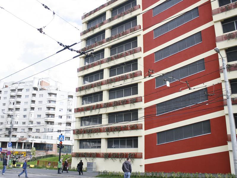 Un şofer a rupt scutul maşinii în 