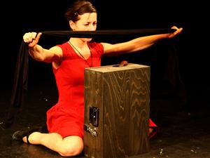 Festival de teatru la Fabrica de Pensule