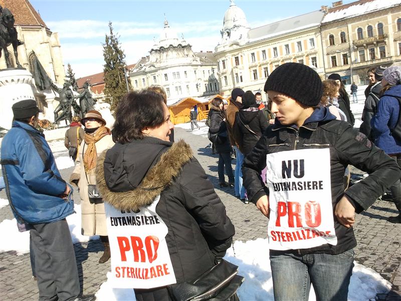 Iubitorii de animale au protestat împotriva eutanasierii câinilor vagabonzi FOTO / VIDEO