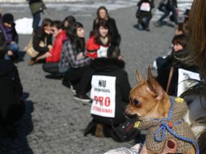 Protest împotriva eutanasierii, în Piaţa Unirii