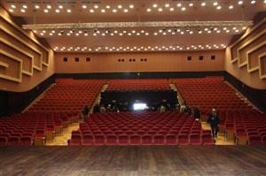 Înghesuială la spectacolul lui Tudor Gheorghe: s-au adus scaune în plus