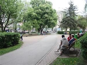 “Grădinarii” Clujului, împinşi de consilieri spre licitaţie   