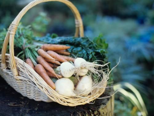 Doi britanici s-au mutat în România ca să vândă legume ecologice în Huedin