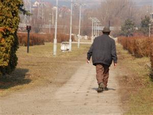 Certificatul de urbanism pentru Parcul Feroviarilor, contestat        